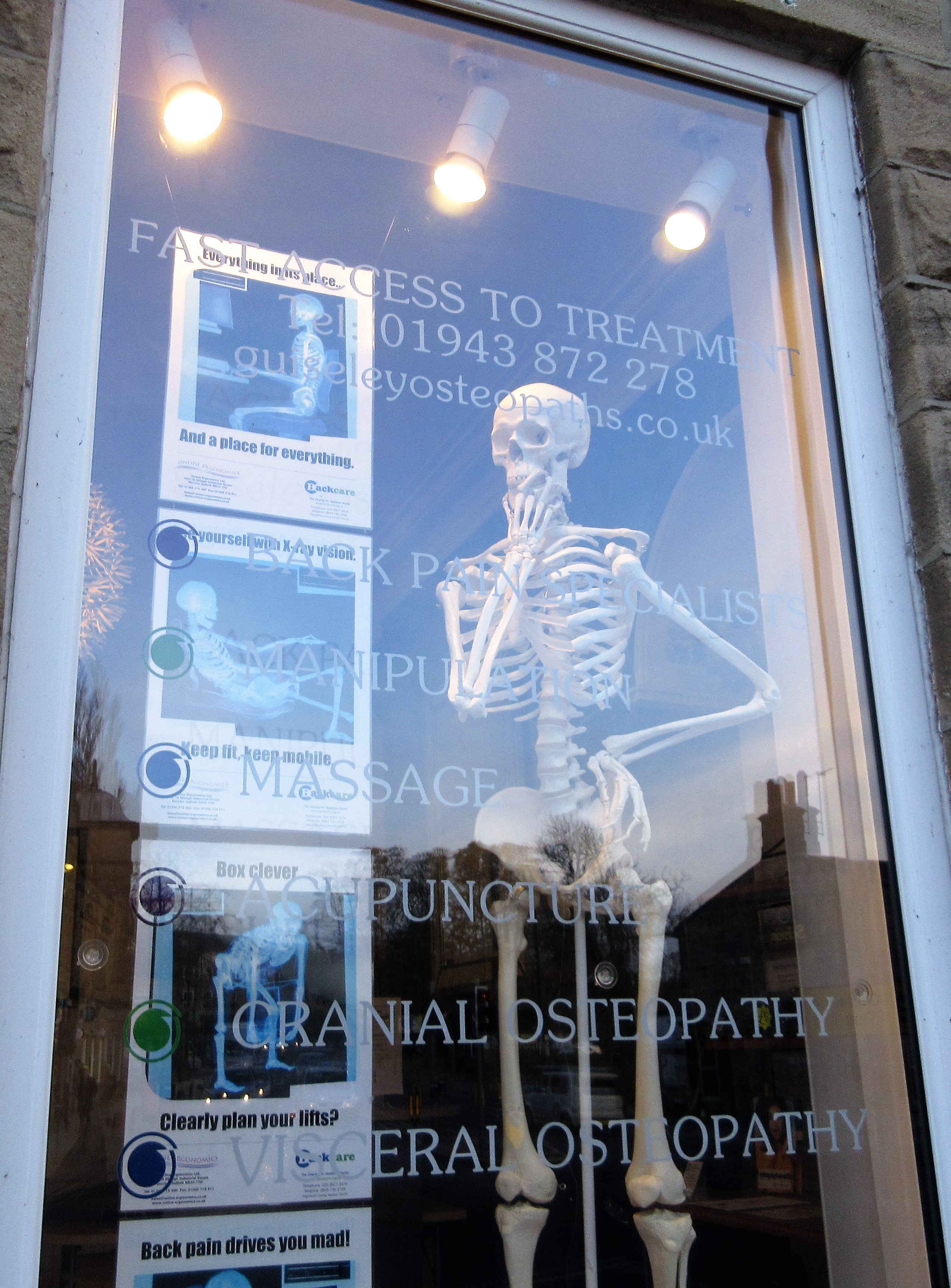 Stan the skelteton in the window of Guiseley Osteopaths